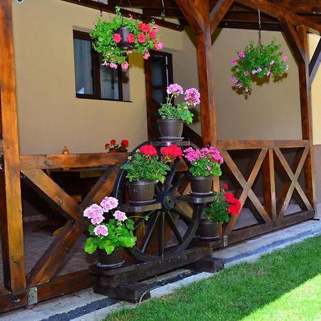 Casa Pricas Villa Moieciu de Jos Eksteriør billede